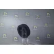 Poulie, vilebrequin DA SILVA PL8184 - Visuel 2