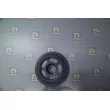Poulie, vilebrequin DA SILVA PL8190 - Visuel 1