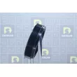 Poulie, vilebrequin DA SILVA PL8339 - Visuel 2