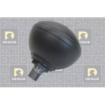 Accumulateur de pression, suspension/amortissement DA SILVA