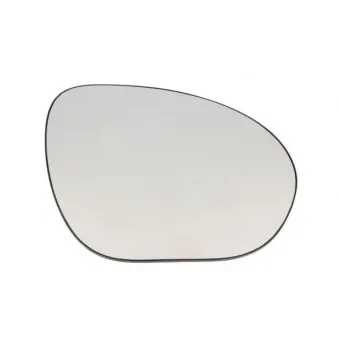 Verre de rétroviseur, rétroviseur extérieur BLIC
