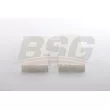 Filtre, air de l'habitacle BSG BSG 11-145-001 - Visuel 2
