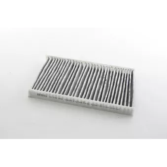 Filtre, air de l'habitacle BSG BSG 11-145-002