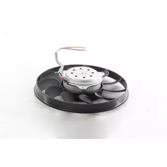 Ventilateur, refroidissement du moteur BSG BSG 11-510-001