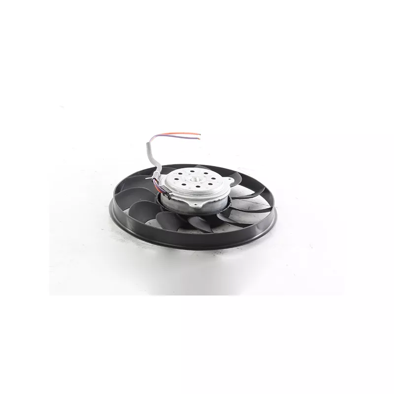 Ventilateur, refroidissement du moteur BSG BSG 11-510-001