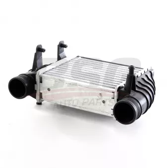 Intercooler, échangeur BSG BSG 11-535-003