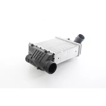 Intercooler, échangeur BSG BSG 11-535-004