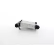 Intercooler, échangeur BSG BSG 11-535-005 - Visuel 1