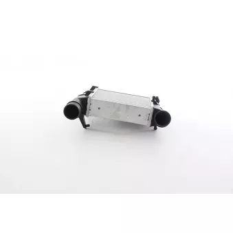 Intercooler, échangeur BSG BSG 11-535-005