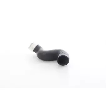 Gaine de suralimentation BSG BSG 11-720-005