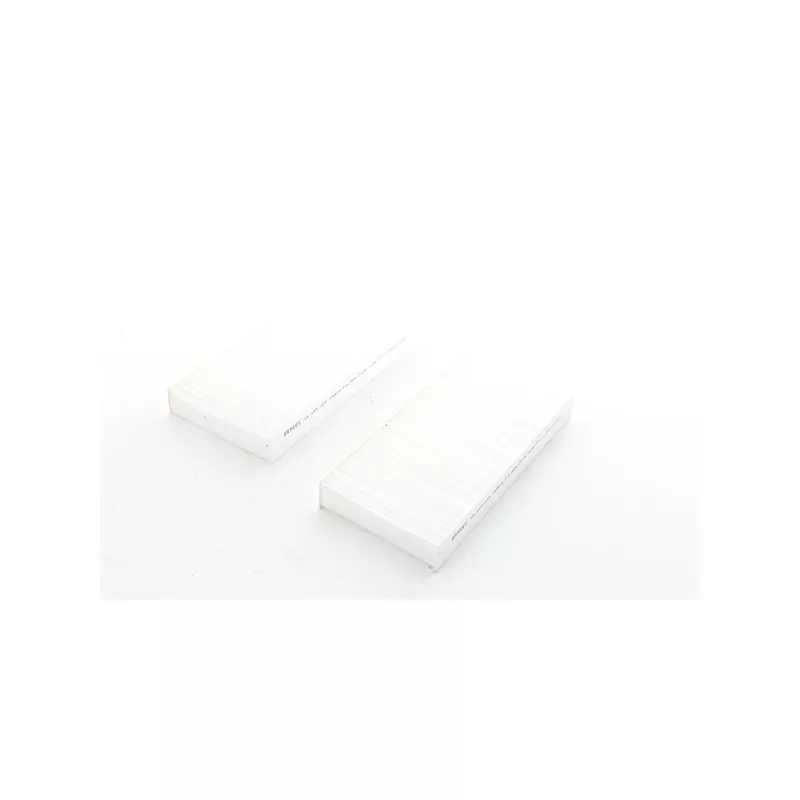Filtre, air de l'habitacle BSG BSG 15-145-023
