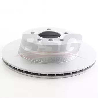 Jeu de 2 disques de frein arrière BSG BSG 15-210-032