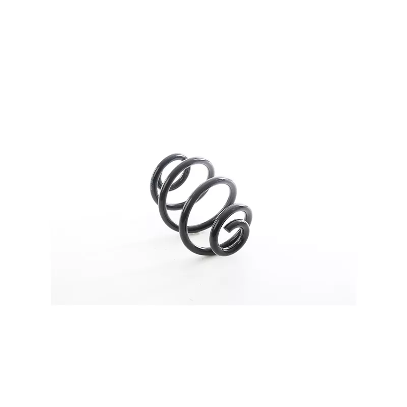 Ressort de suspension BSG BSG 15-305-013