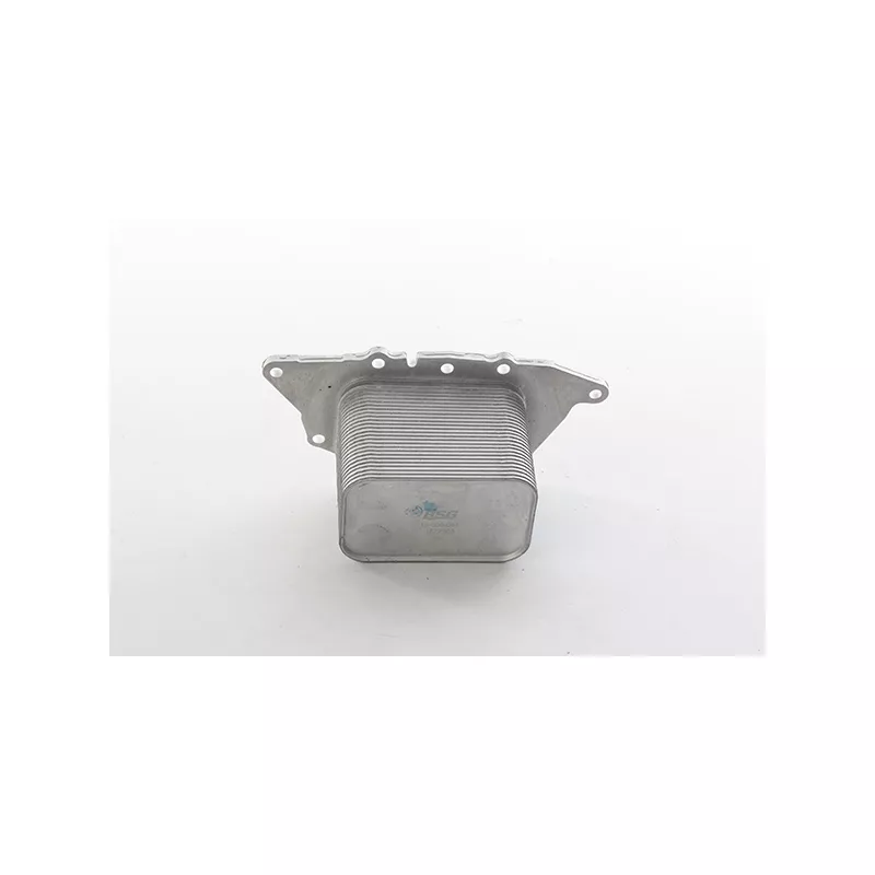 Radiateur d'huile BSG BSG 15-506-044