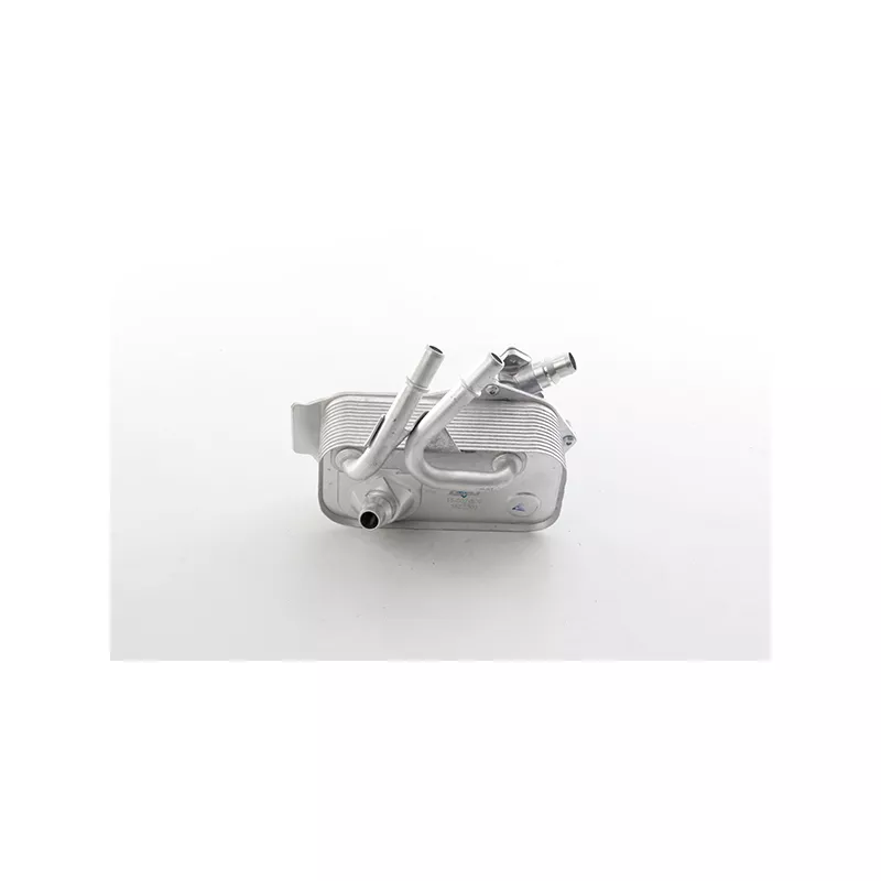 Radiateur d'huile de boîte automatique BSG BSG 15-507-009