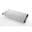 Radiateur, refroidissement du moteur BSG BSG 15-520-016 - Visuel 1
