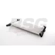 Radiateur, refroidissement du moteur BSG BSG 15-520-043 - Visuel 2