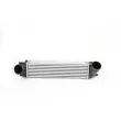 Intercooler, échangeur BSG BSG 15-535-001 - Visuel 2