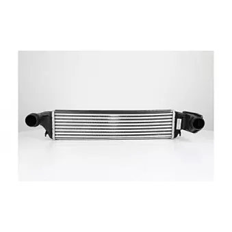 Intercooler, échangeur BSG BSG 15-535-005