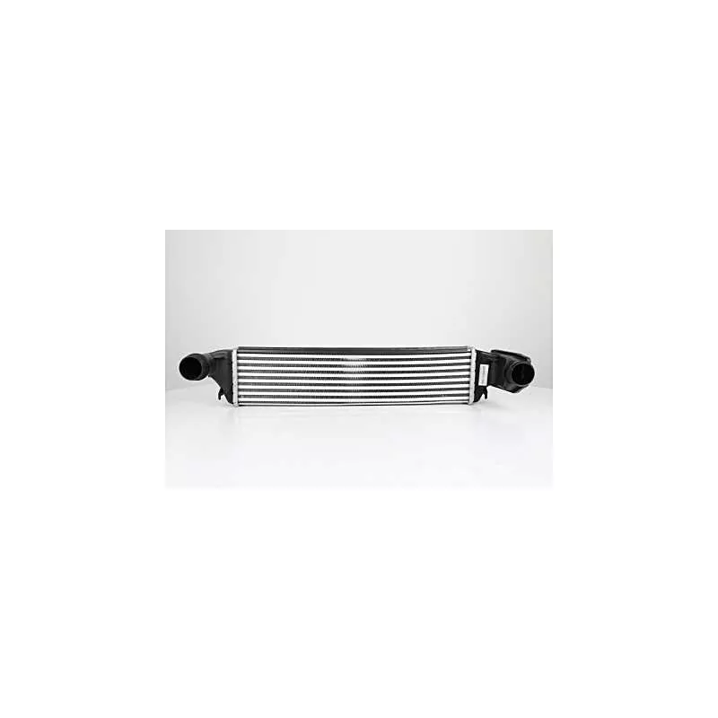 Intercooler, échangeur BSG BSG 15-535-005