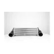 Intercooler, échangeur BSG BSG 15-535-007 - Visuel 1