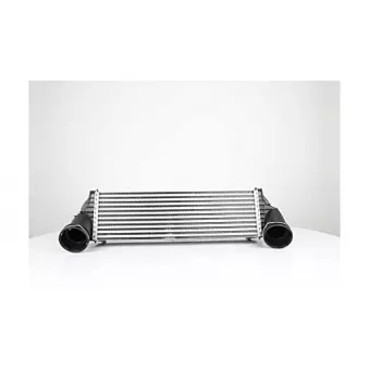 Intercooler, échangeur BSG BSG 15-535-007