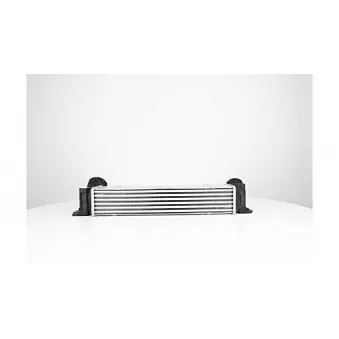 Intercooler, échangeur BSG BSG 15-535-012