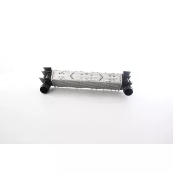 Intercooler, échangeur BSG BSG 15-535-025