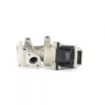 Vanne EGR BSG BSG 15-836-002