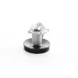 Pompe à eau BSG BSG 16-500-005 - Visuel 1