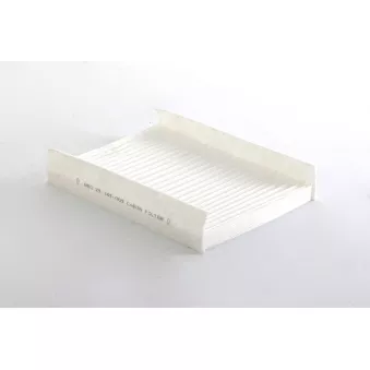 Filtre, air de l'habitacle BSG BSG 25-145-009