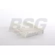 Filtre, air de l'habitacle BSG BSG 25-145-009 - Visuel 2