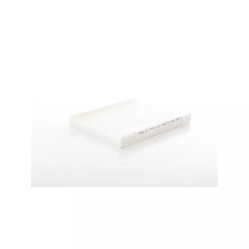 Filtre, air de l'habitacle BSG BSG 25-145-010