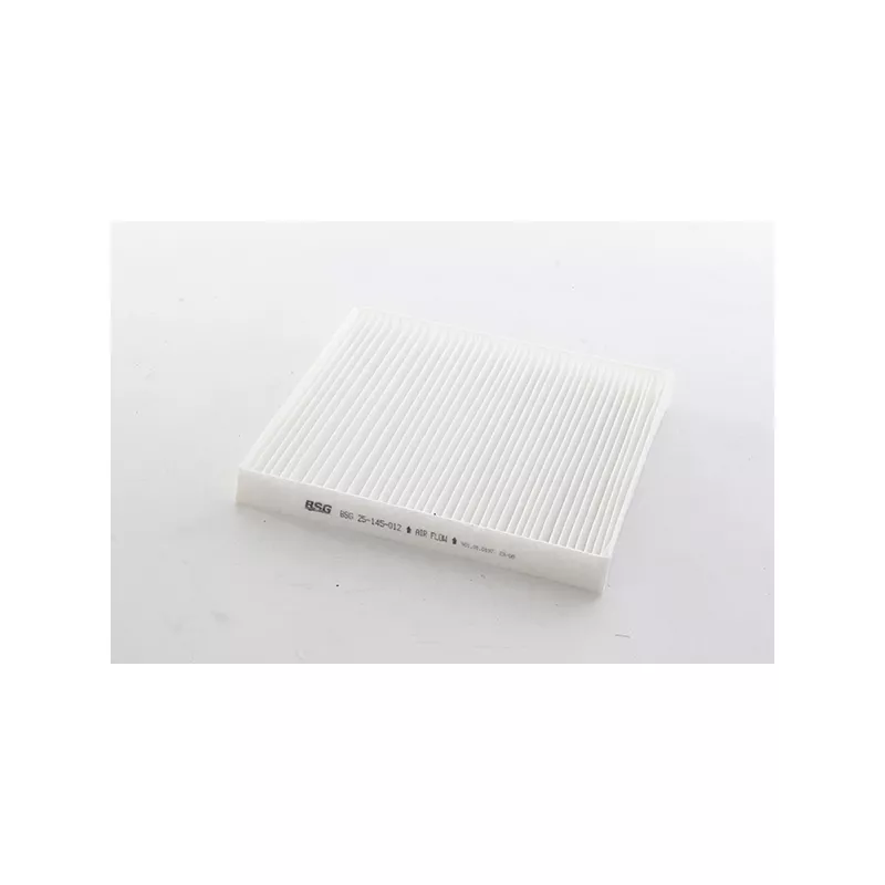 Filtre, air de l'habitacle BSG BSG 25-145-012