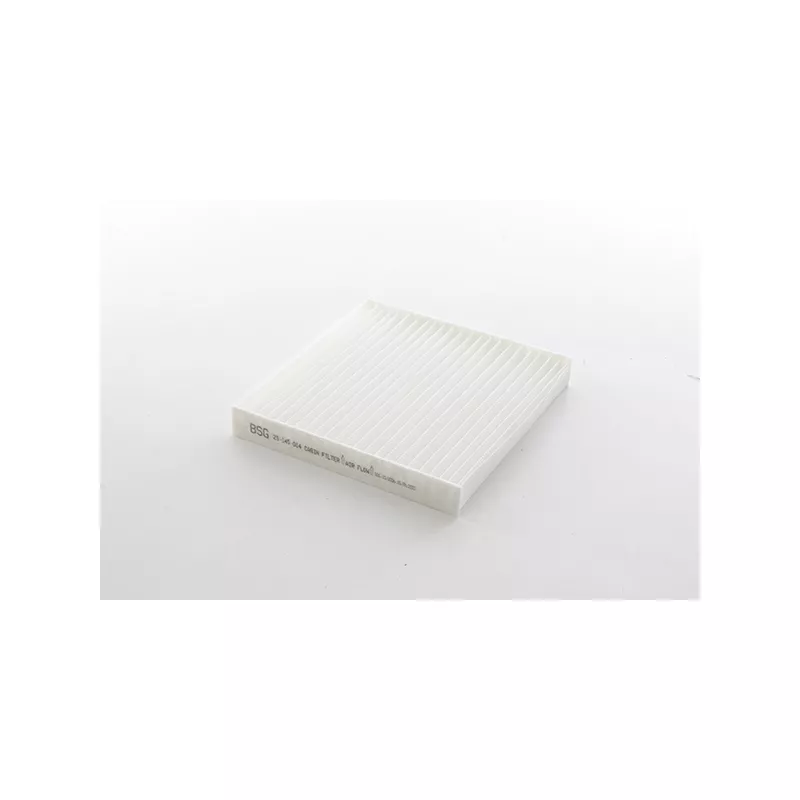 Filtre, air de l'habitacle BSG BSG 25-145-014