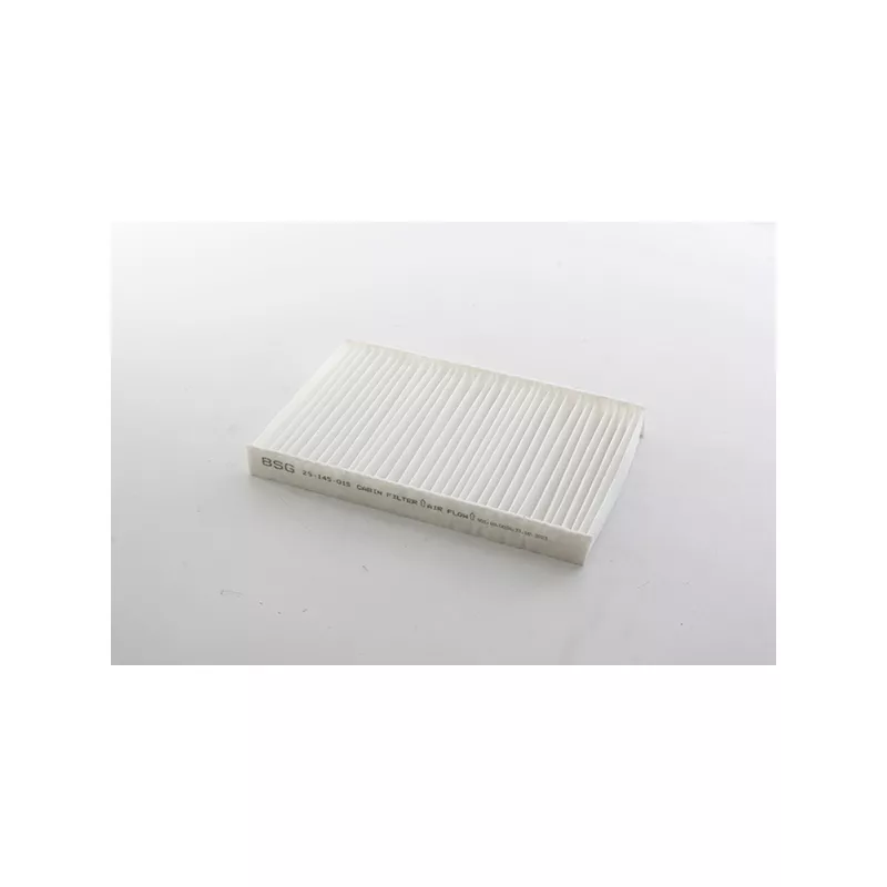 Filtre, air de l'habitacle BSG BSG 25-145-015