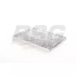 Filtre, air de l'habitacle BSG BSG 25-145-017 - Visuel 2