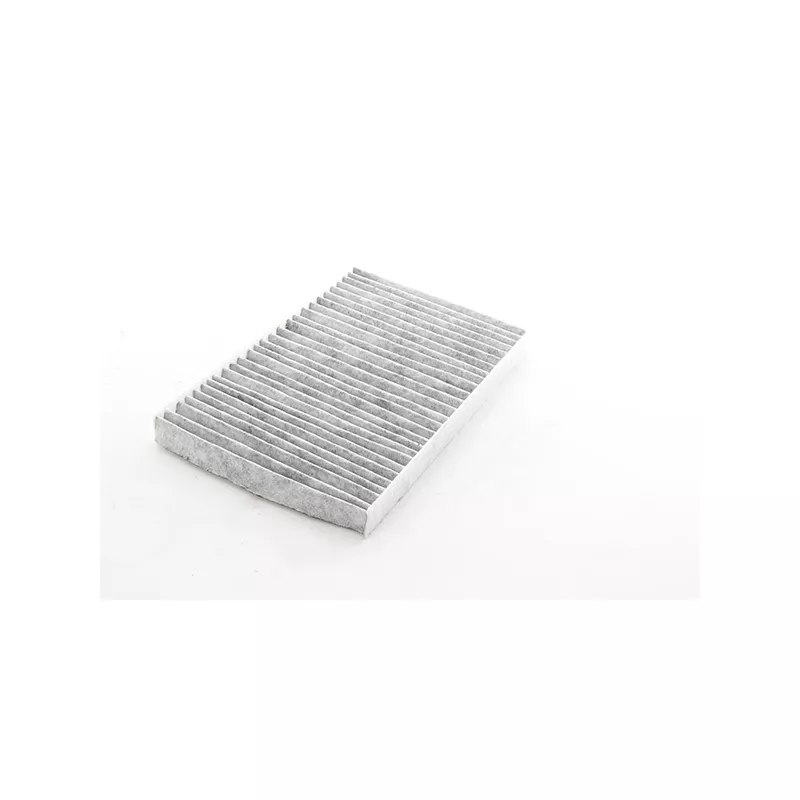 Filtre, air de l'habitacle BSG BSG 25-145-019