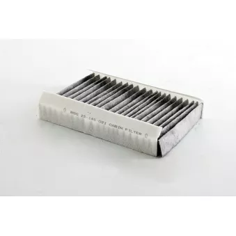 Filtre, air de l'habitacle BSG BSG 25-145-021