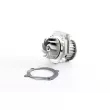 Pompe à eau, refroidissement du moteur BSG BSG 25-500-011 - Visuel 1
