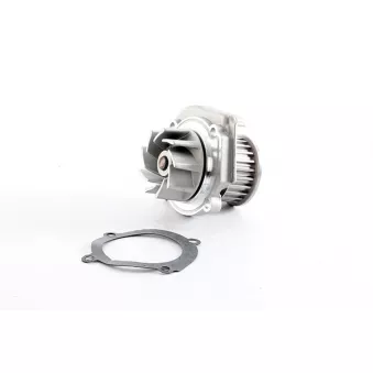 Pompe à eau, refroidissement du moteur BSG BSG 25-500-011