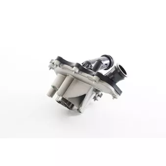Pompe à eau, refroidissement du moteur BSG BSG 25-500-013