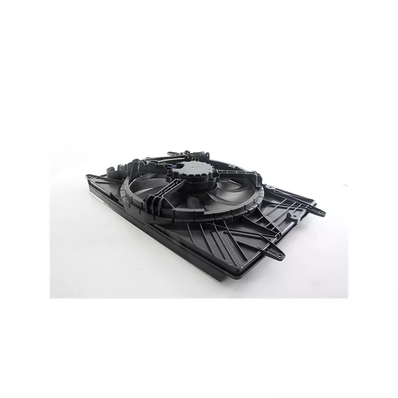 Ventilateur, refroidissement du moteur BSG BSG 25-510-002