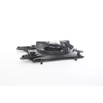 Ventilateur, refroidissement du moteur BSG