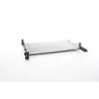 Radiateur, refroidissement du moteur BSG BSG 25-520-019 - Visuel 1