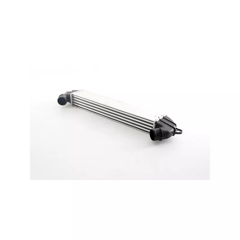 Intercooler, échangeur BSG BSG 25-535-002