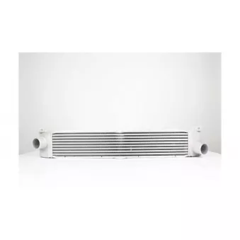 Intercooler, échangeur BSG BSG 25-535-006