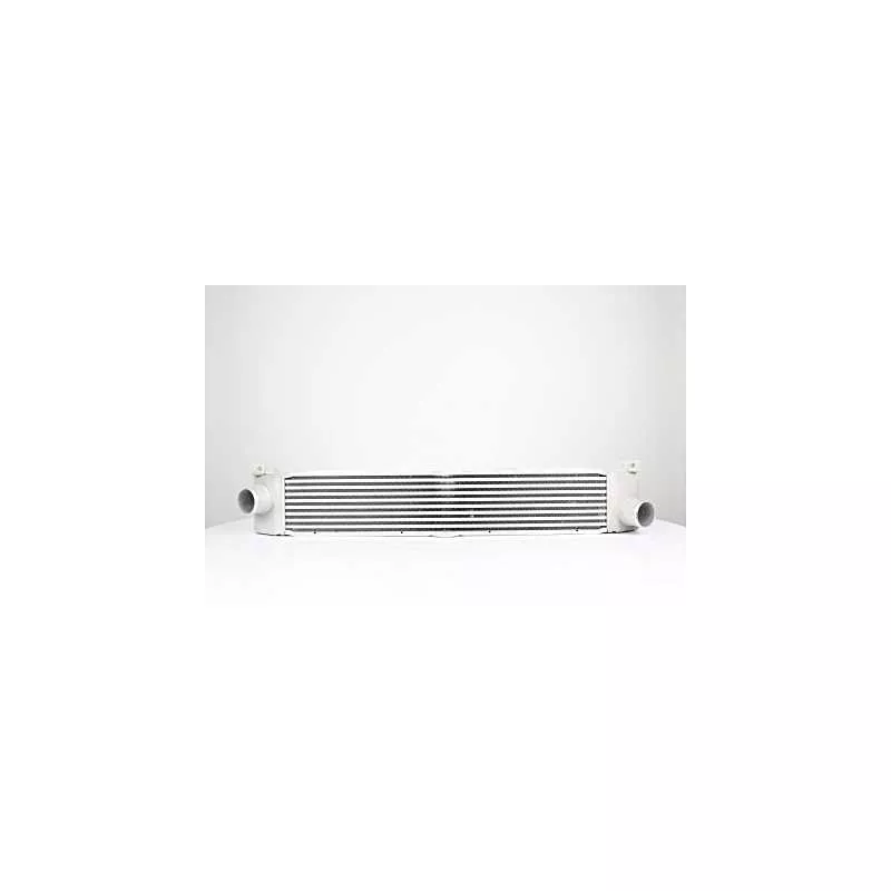 Intercooler, échangeur BSG BSG 25-535-006