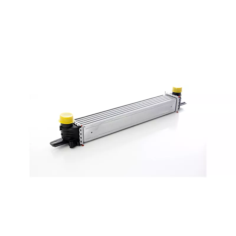 Intercooler, échangeur BSG BSG 25-535-007