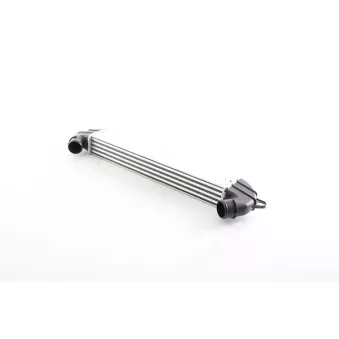 Intercooler, échangeur BSG BSG 25-535-011